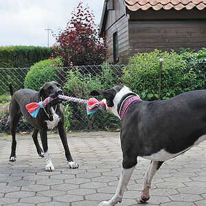 Treffen 5