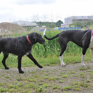 Treffen 7