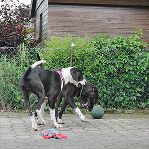 Treffen 10