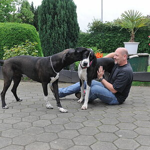 Treffen 12