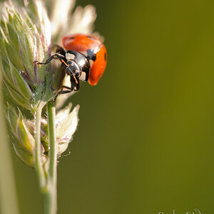 Bild LR3 .28. Mai 2012. .DSC 0035