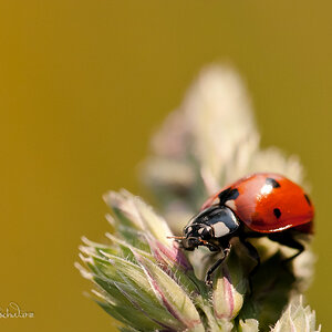 Bild LR3 .28. Mai 2012. .DSC 0044