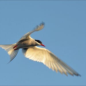 comp Eidersperrwerk 0147