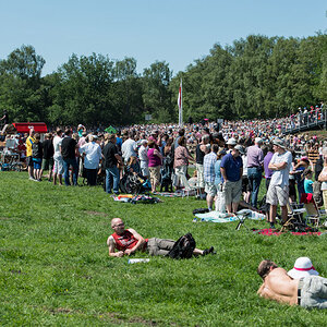 Wildpferde 2012 9