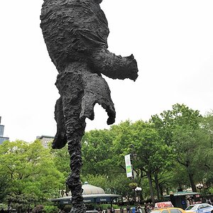Elefant am Union Square
8569