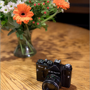 Zenit
