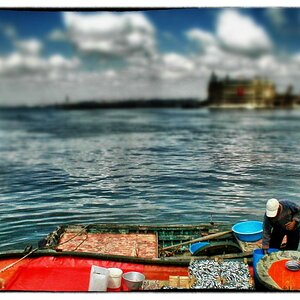 Fischer Haydarpascha