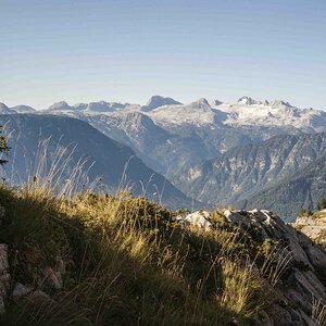 Dachstein vom Weg zur Bräuningalm