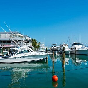 P12 1405
Key West - historischer Hafen