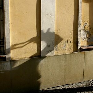 IMG 8337 2