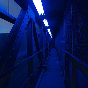 DSC 5274