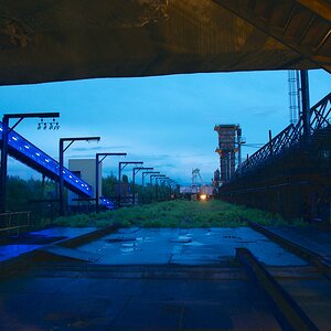 DSC 5299