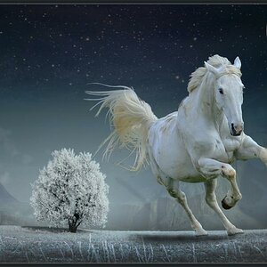 Fantasy
