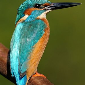 3008912
