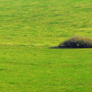 20111106 1251  DSC2135
