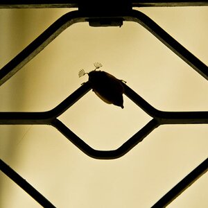 20120428 2100 DSC 3497
