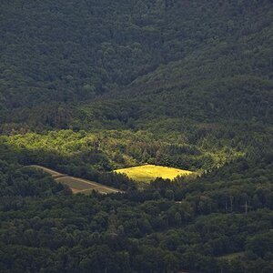 20120601 1507DSC 4079