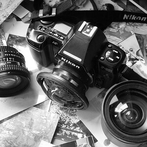 NikonF801