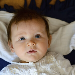 D800, AF-S Nikkor 1,4/85, Bl. 2.8, 1/250 s, ISO 2000.