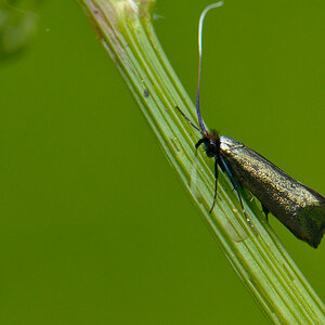 120512 unbenannt 250