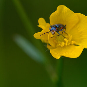 120512 unbenannt 266