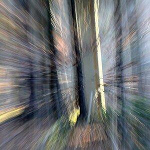 Wald Zoom 1