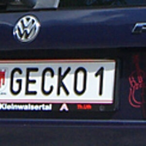 CIMG6027