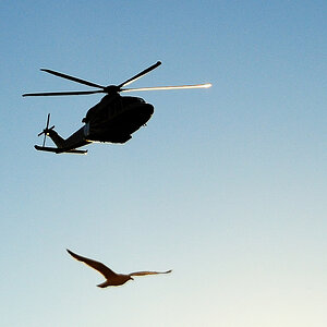heli1