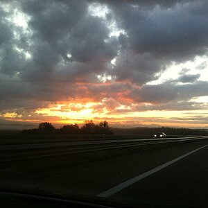 Dawn