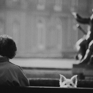 Doggie