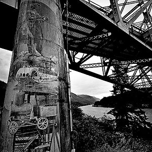 DSC 1838bw