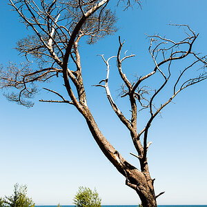 Ostsee_09