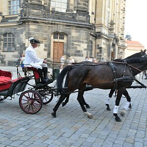 Vor der Frauenkirche Dresden