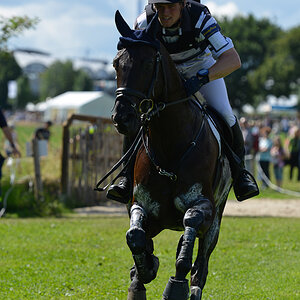 CHIO 2012 0420 unbearbeitet (volles Gegenlicht in praller Mittagssonne)