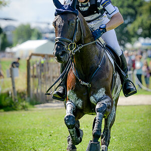 CHIO 2012 0420 Anpasssungen mit Lightroom