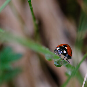 120511 unbenannt 141