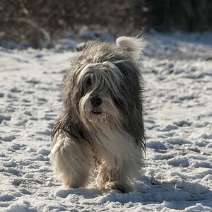 Grisu 2010_01