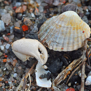 Am Bodden