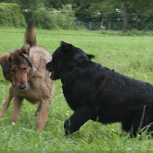 20120709 1942246 1 comp