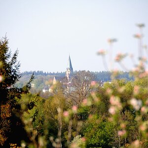 DSC 6003