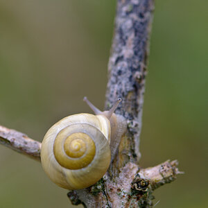 120511 unbenannt 127