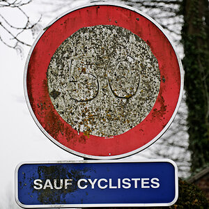 Schild