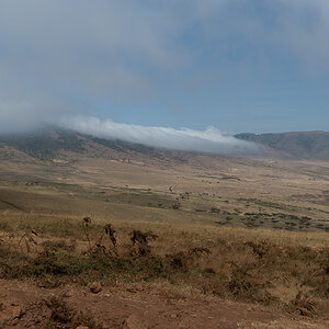 tanzania zentralserengeti nff 001