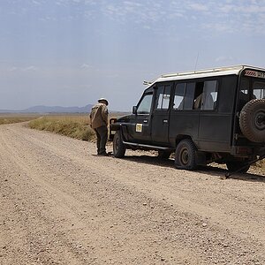 tanzania zentralserengeti nff 003