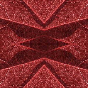 Test 1