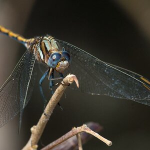 DSC 6937