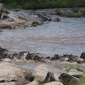tanzania crossing1 nff 003