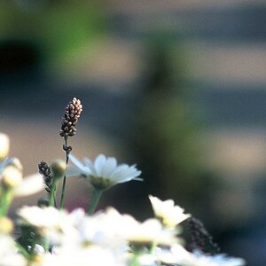 4858 22 crop