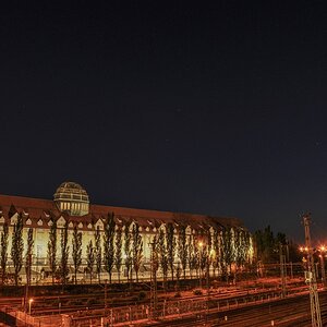 DSC 5017