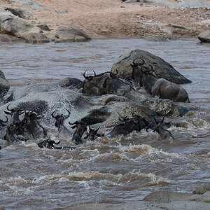 tanzania crossing1 nff 007